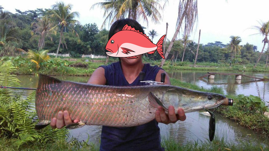 インドネシア釣行 幻の怪魚たちに挑戦 あおとおますの珍釣行
